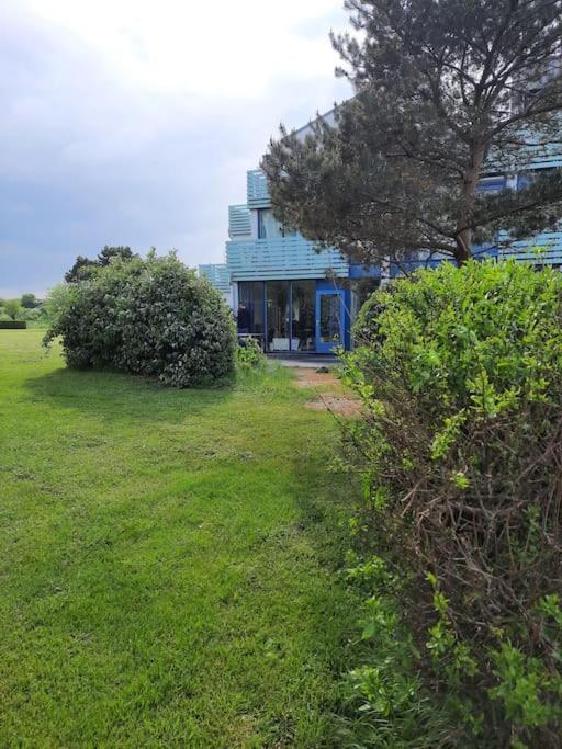 Erdgeschoss-Wohnung Nahe Am Meer Cadzand Bagian luar foto